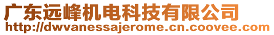 廣東遠峰機電科技有限公司