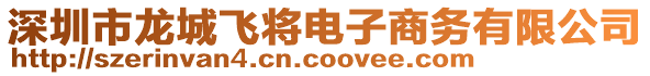 深圳市龍城飛將電子商務有限公司