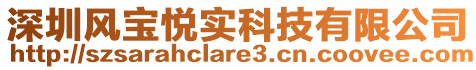 深圳風(fēng)寶悅實(shí)科技有限公司
