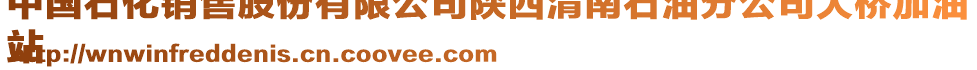 中國石化銷售股份有限公司陜西渭南石油分公司大橋加油
站