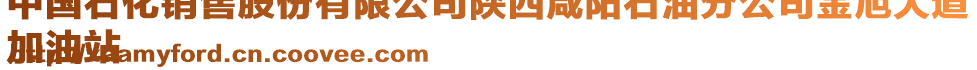 中國石化銷售股份有限公司陜西咸陽石油分公司金旭大道
加油站