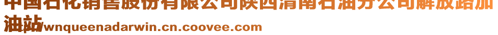 中國石化銷售股份有限公司陜西渭南石油分公司解放路加
油站