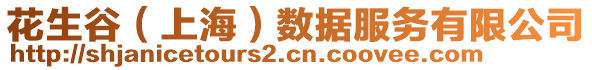 花生谷（上海）數(shù)據(jù)服務(wù)有限公司