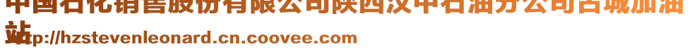 中國(guó)石化銷售股份有限公司陜西漢中石油分公司古城加油
站