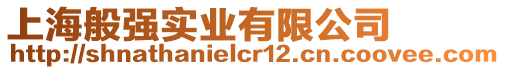 上海般強(qiáng)實(shí)業(yè)有限公司