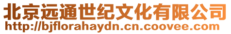 北京遠(yuǎn)通世紀(jì)文化有限公司