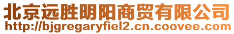 北京遠勝明陽商貿有限公司