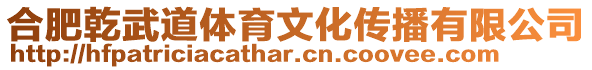 合肥乾武道體育文化傳播有限公司