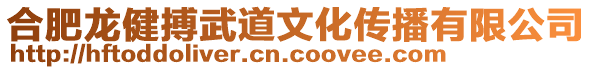 合肥龍健搏武道文化傳播有限公司