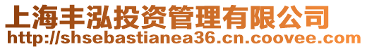 上海豐泓投資管理有限公司