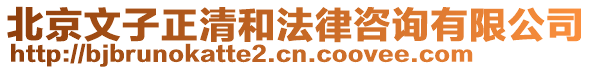北京文子正清和法律咨詢有限公司
