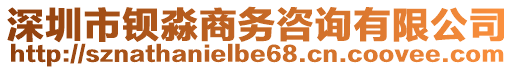 深圳市鋇淼商務(wù)咨詢(xún)有限公司