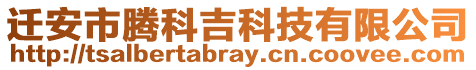 遷安市騰科吉科技有限公司