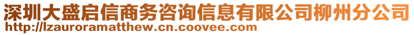 深圳大盛啟信商務咨詢信息有限公司柳州分公司
