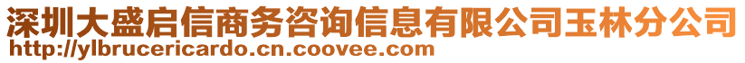 深圳大盛啟信商務咨詢信息有限公司玉林分公司