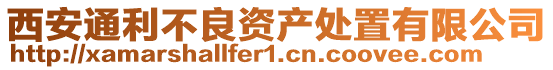 西安通利不良資產(chǎn)處置有限公司
