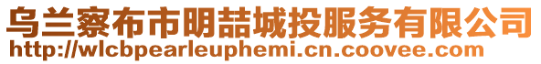 烏蘭察布市明喆城投服務(wù)有限公司