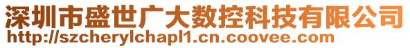 深圳市盛世廣大數(shù)控科技有限公司