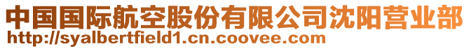 中國國際航空股份有限公司沈陽營業部