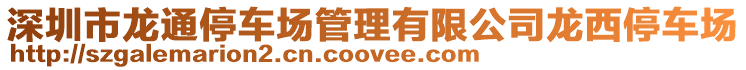 深圳市龍通停車(chē)場(chǎng)管理有限公司龍西停車(chē)場(chǎng)