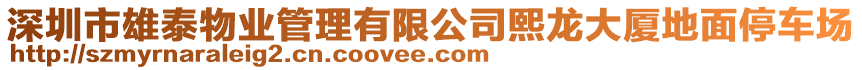 深圳市雄泰物業(yè)管理有限公司熙龍大廈地面停車場