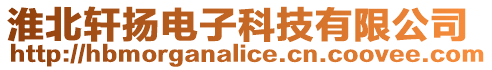 淮北軒揚電子科技有限公司