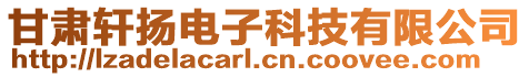 甘肅軒揚(yáng)電子科技有限公司