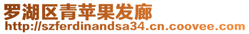 羅湖區(qū)青蘋果發(fā)廊