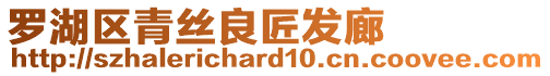 羅湖區青絲良匠發廊
