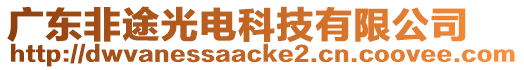 廣東非途光電科技有限公司
