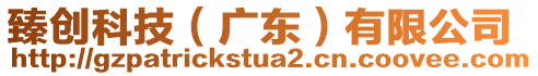 臻創(chuàng)科技(廣東)有限公司