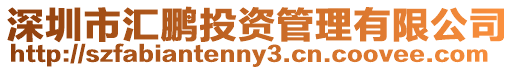 深圳市匯鵬投資管理有限公司