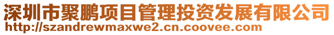深圳市聚鵬項目管理投資發展有限公司
