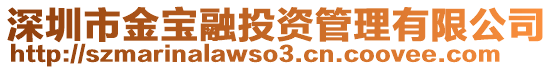 深圳市金寶融投資管理有限公司