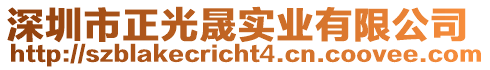 深圳市正光晟實業(yè)有限公司