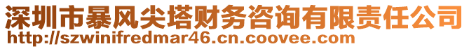 深圳市暴風(fēng)尖塔財(cái)務(wù)咨詢有限責(zé)任公司