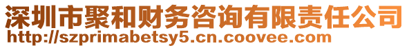 深圳市聚和財務咨詢有限責任公司