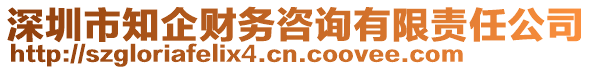 深圳市知企財務咨詢有限責任公司