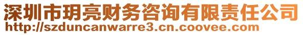 深圳市玥亮財務(wù)咨詢有限責任公司