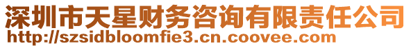 深圳市天星財(cái)務(wù)咨詢(xún)有限責(zé)任公司