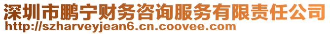 深圳市鵬寧財(cái)務(wù)咨詢(xún)服務(wù)有限責(zé)任公司