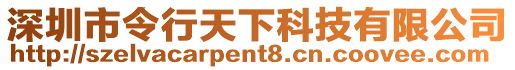 深圳市令行天下科技有限公司