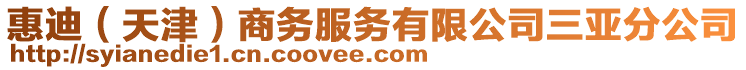 惠迪（天津）商務(wù)服務(wù)有限公司三亞分公司