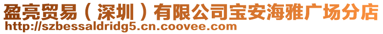 盈亮貿易(深圳)有限公司寶安海雅廣場分店