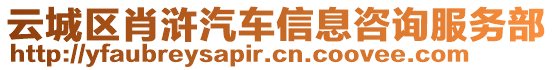 云城區(qū)肖滸汽車信息咨詢服務部