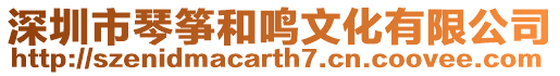 深圳市琴箏和鳴文化有限公司