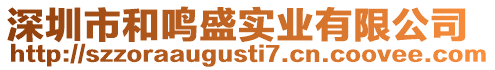 深圳市和鳴盛實業有限公司