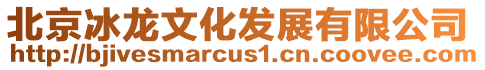 北京冰龍文化發(fā)展有限公司