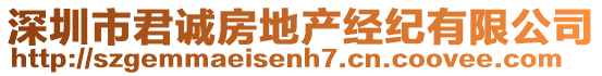 深圳市君誠房地產經紀有限公司
