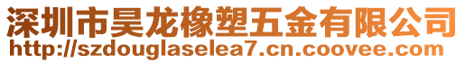 深圳市昊龍橡塑五金有限公司